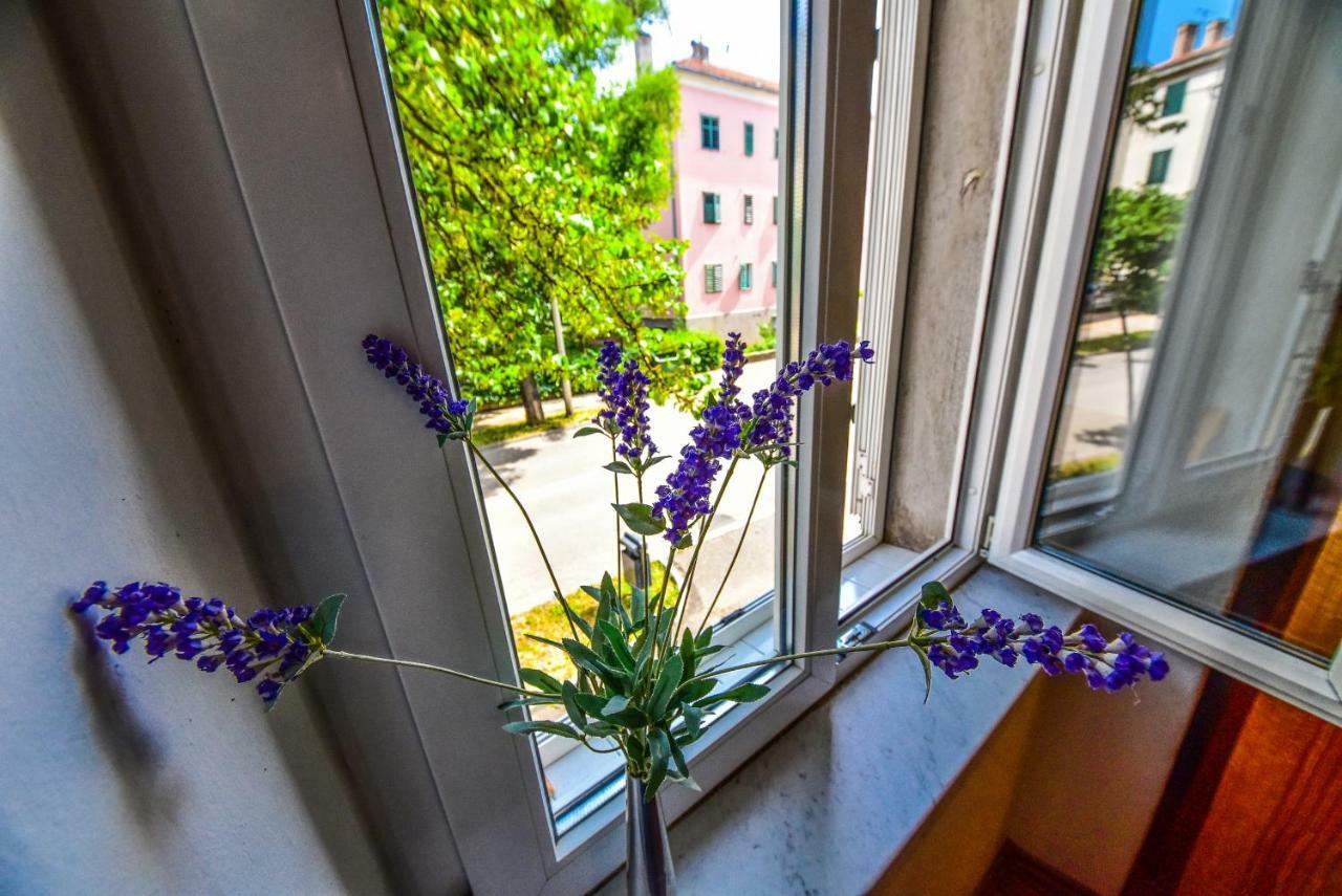 Apartment Viola Задар Экстерьер фото